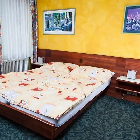 Hotel Falken 2*